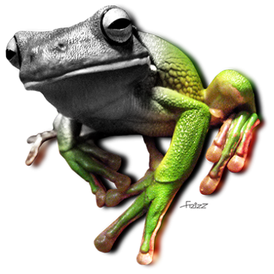 Sapo
