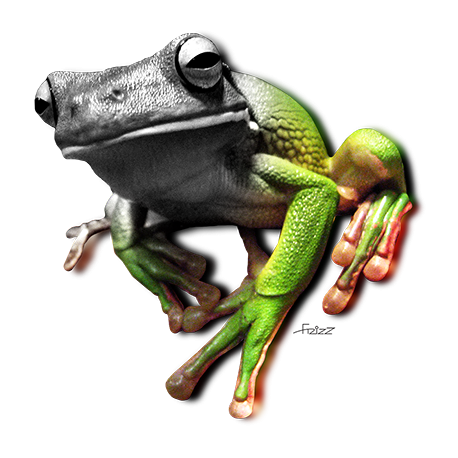 Sapo